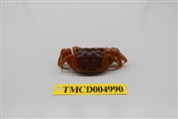 藏品(臺灣厚蟹)的圖片